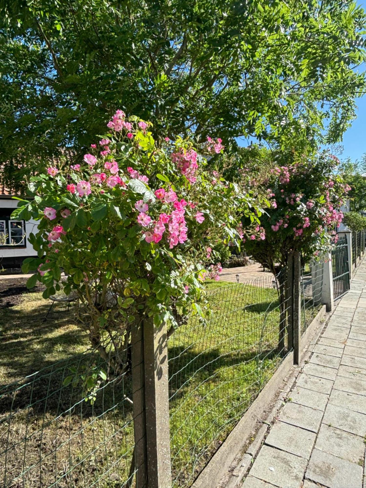 Het Relax Hoeveke Ostend Exterior photo
